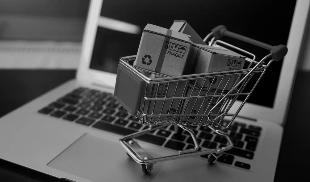 Benefits of Accessible E-commerce Websites