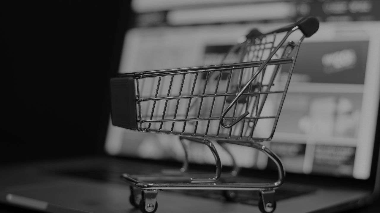The Future of E-commerce Accessibility
